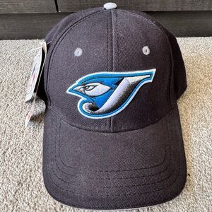 Vintage Deadstock Y2K Toronto Blue Jays MLB Baseball Hat American Needle O/S